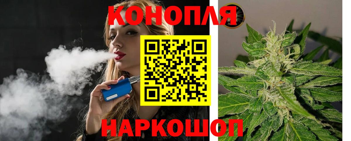Бошки марихуана гибрид  Канабис VHQ  Вход с VPN  Марихуана ГИДРОПОН  Марихуана сатива  Новозыбков 